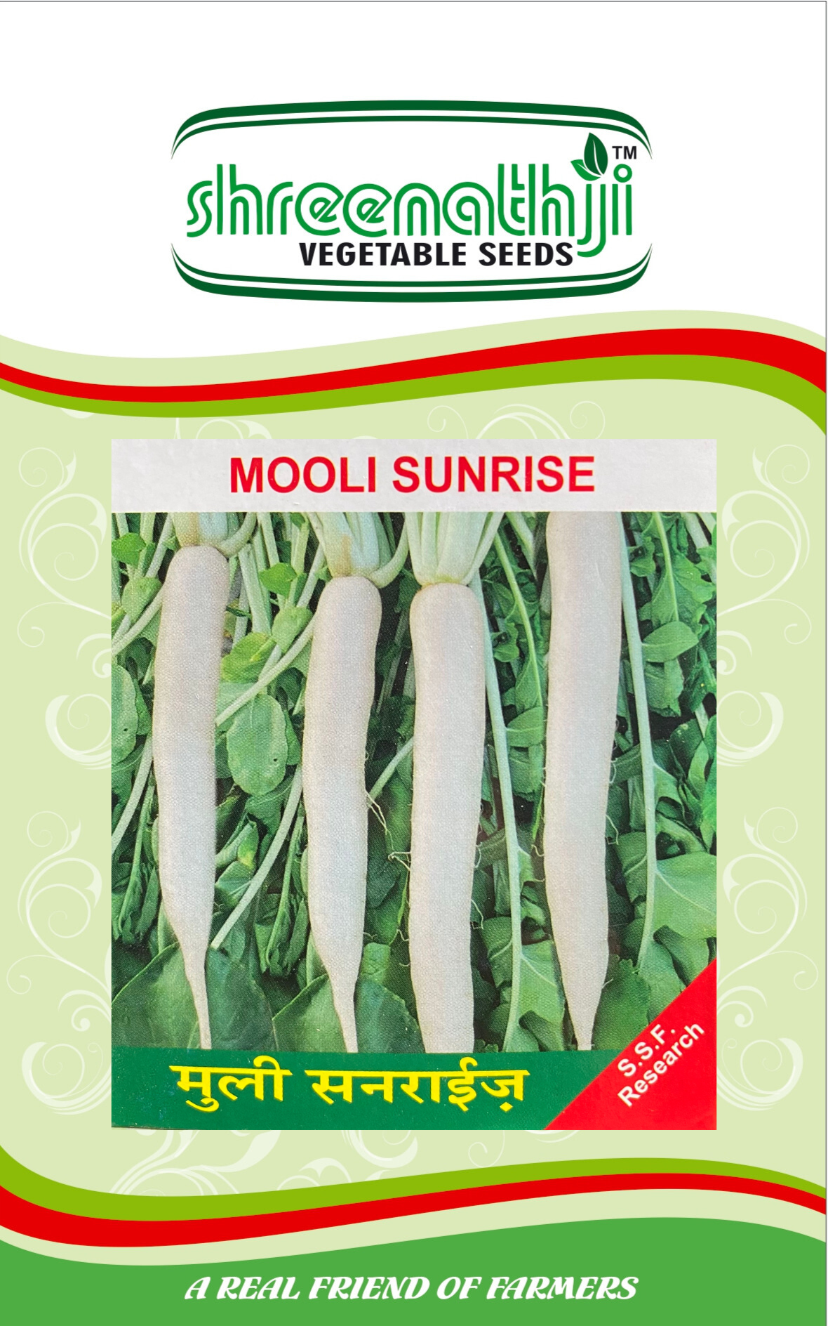 મૂળા સનરાઈઝ